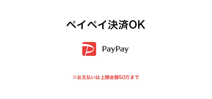 ペイペイ決済OK ※お支払いは上限金額50万まで