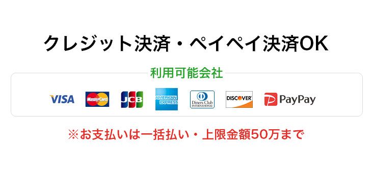 クレジット決済・ペイペイ決済OK ※お支払いは一括払い・上限金額50万まで
